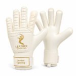Professional Goalkeeper Gloves | Custom Football Goalkeeper Gloves with Name, Logo & Personalised Design